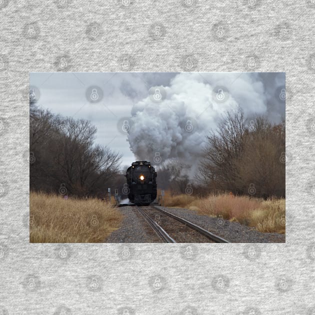 Big Boy 4014 with Steam,Smoke and Prairie grass and sky with tree's. by ROBERTDBROZEK